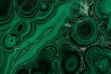Flowery Polished Malachite Slab - DR Congo #350831-1